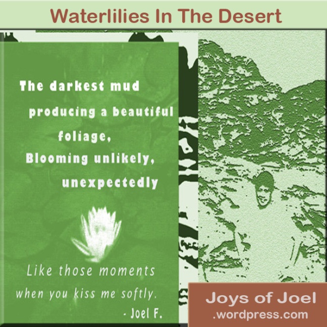 poem about courage and beauty after trials, joys of joel poems, poem about waterlilies