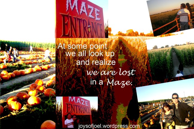 pumpkin maze, dell osso family farm, the biggest corn maze, joys of joel musings